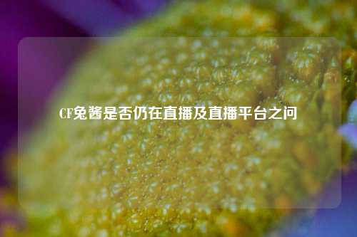 CF兔酱是否仍在直播及直播平台之问