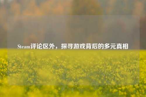 Steam评论区外,探寻游戏背后的多元真相