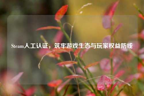 Steam人工认证,筑牢游戏生态与玩家权益防线
