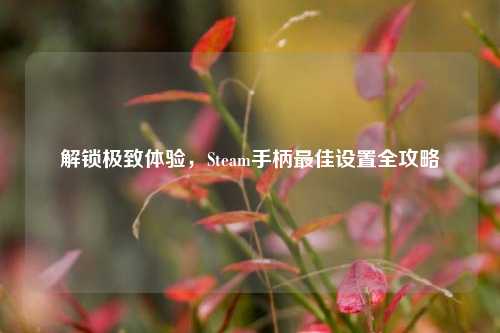 解锁极致体验,Steam手柄最佳设置全攻略