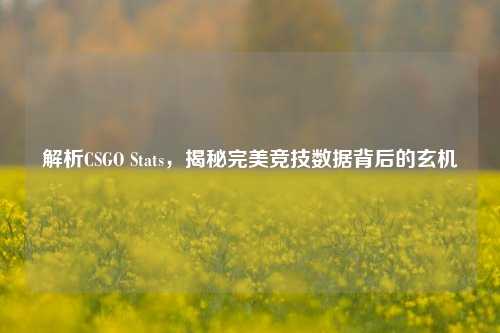 解析CSGO Stats,揭秘完美竞技数据背后的玄机