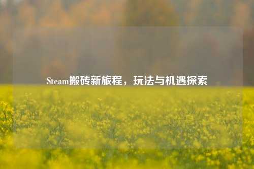 Steam搬砖新旅程,玩法与机遇探索