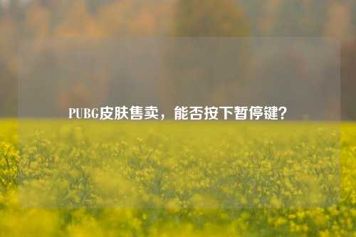 PUBG皮肤售卖,能否按下暂停键?