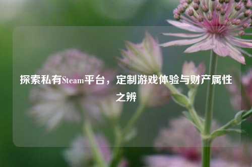 探索私有Steam平台,定制游戏体验与财产属性之辨