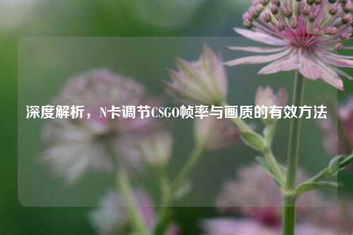 深度解析，N卡调节CSGO帧率与画质的有效方法