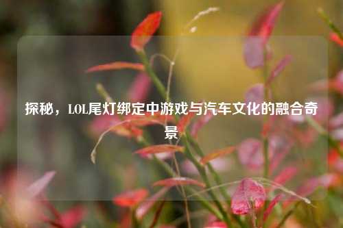 探秘,LOL尾灯绑定中游戏与汽车文化的融合奇景