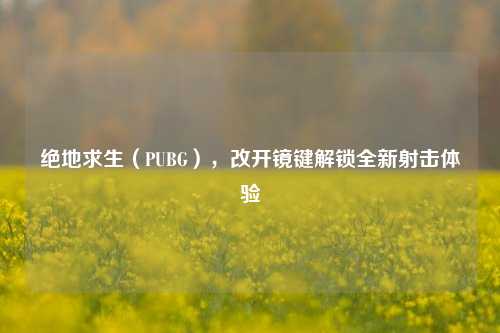 绝地求生(PUBG),改开镜键解锁全新射击体验