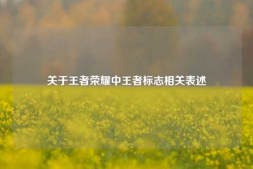 关于王者荣耀中王者标志相关表述