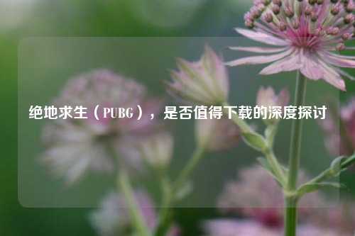绝地求生(PUBG),是否值得下载的深度探讨