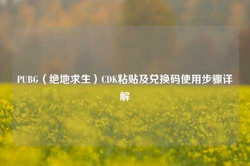 PUBG（绝地求生）CDK粘贴及兑换码使用步骤详解