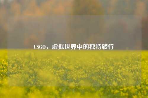 CSGO，虚拟世界中的独特旅行