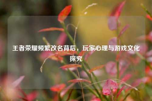 王者荣耀频繁改名背后,玩家心理与游戏文化探究