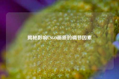 揭秘影响CSGO画质的调节因素