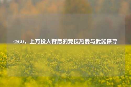 CSGO，上万投入背后的竞技热爱与武器探寻