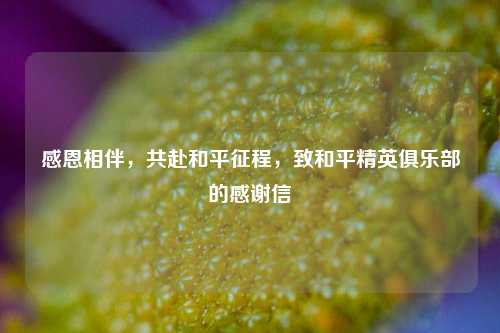 感恩相伴,共赴和平征程,致和平精英俱乐部的感谢信