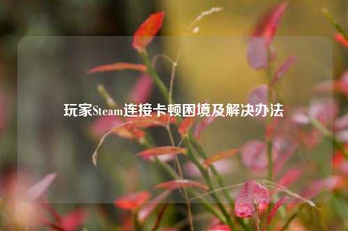 玩家Steam连接卡顿困境及解决办法