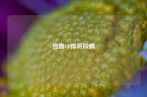热血CF悍将段鹏