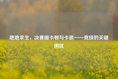 绝地求生，决赛圈卡顿与卡退——竞技的关键困扰