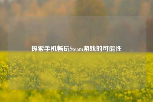 探索手机畅玩Steam游戏的可能性