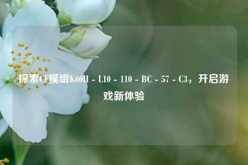 探索CF模组K60H - L10 - 110 - BC - 57 - C3，开启游戏新体验
