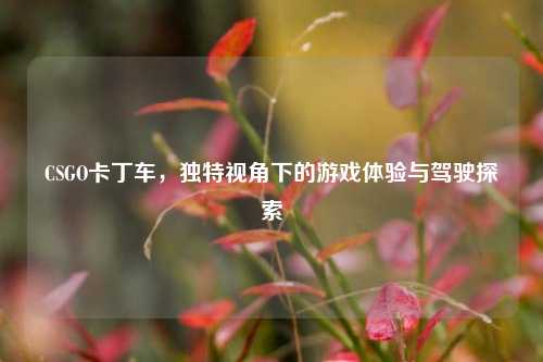 CSGO卡丁车，独特视角下的游戏体验与驾驶探索