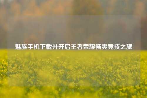魅族手机下载并开启王者荣耀畅爽竞技之旅