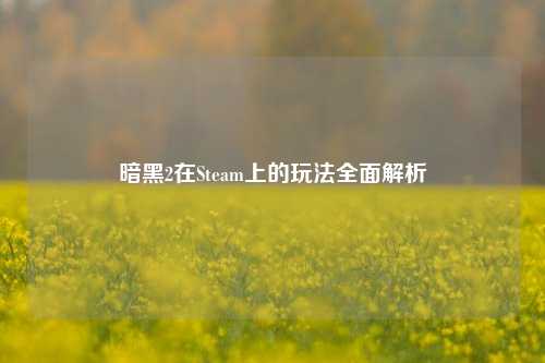 暗黑2在Steam上的玩法全面解析