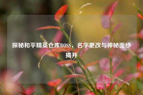 探秘和平精英仓库BOSS,名字更改与神秘面纱揭开