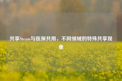 共享Steam与医保共用,不同领域的特殊共享现象