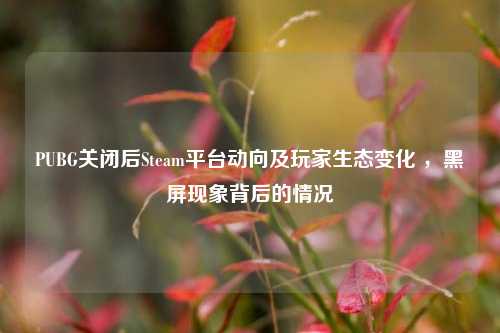 PUBG关闭后Steam平台动向及玩家生态变化 ，黑屏现象背后的情况
