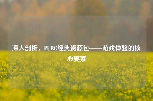 深入剖析,PUBG经典资源包——游戏体验的核心要素