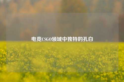 电竞CSGO领域中独特的孔白