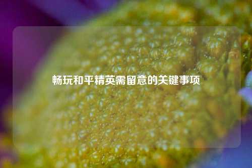 畅玩和平精英需留意的关键事项