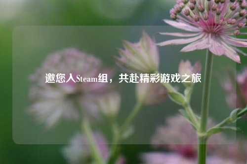 邀您入Steam组，共赴精彩游戏之旅