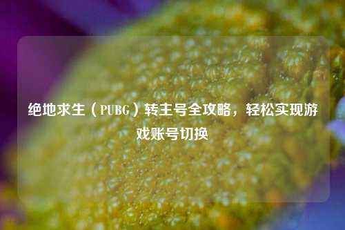 绝地求生（PUBG）转主号全攻略，轻松实现游戏账号切换