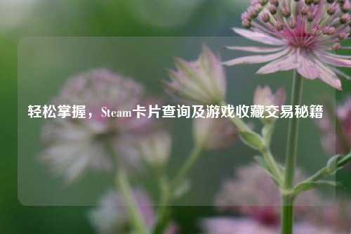 轻松掌握，Steam卡片查询及游戏收藏交易秘籍