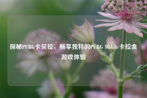 探秘PUBG卡贝拉,畅享独特的PUBG Mobile卡拉金游戏体验
