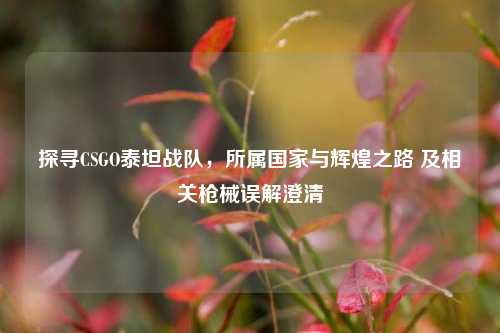 探寻CSGO泰坦战队,所属国家与辉煌之路 及相关枪械误解澄清