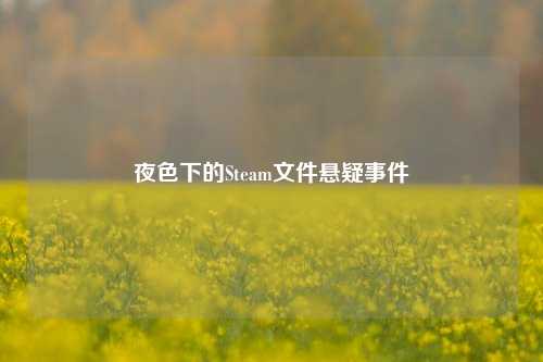 夜色下的Steam文件悬疑事件