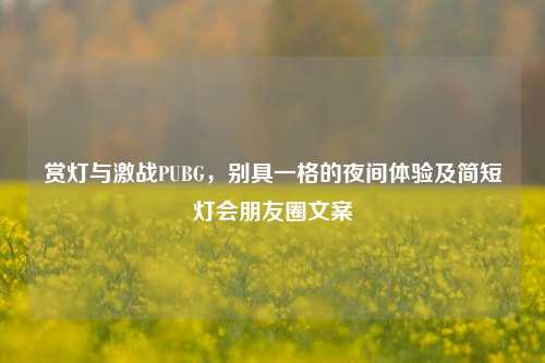 赏灯与激战PUBG，别具一格的夜间体验及简短灯会朋友圈文案