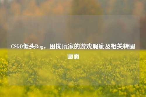 CSGO低头Bug,困扰玩家的游戏瑕疵及相关转圈画面