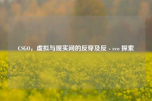 CSGO,虚拟与现实间的反穿及反 - eco 探索