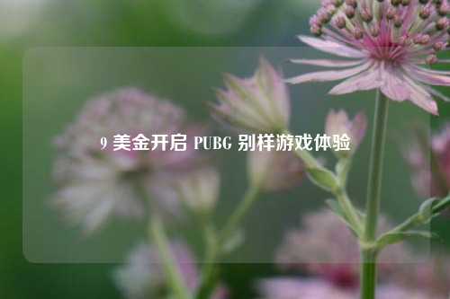 9 美金开启 PUBG 别样游戏体验