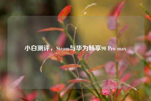 小白测评,Steam与华为畅享90 Pro max