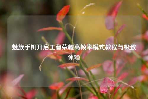 魅族手机开启王者荣耀高帧率模式教程与极致体验