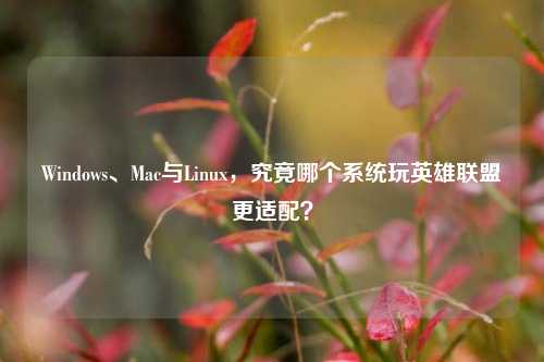 Windows、Mac与Linux,究竟哪个系统玩英雄联盟更适配?