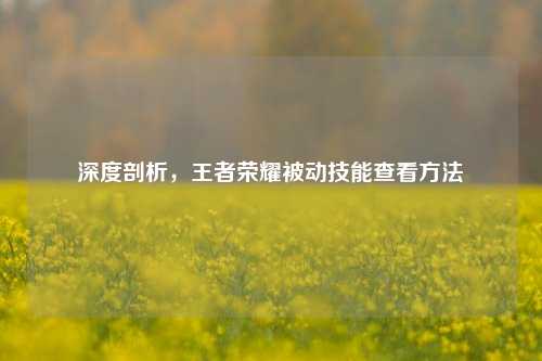 深度剖析,王者荣耀被动技能查看方法