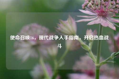 使命召唤16，现代战争入手指南，开启热血战斗