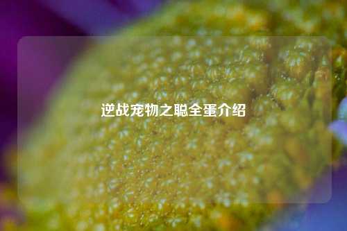 逆战宠物之聪全蛋介绍