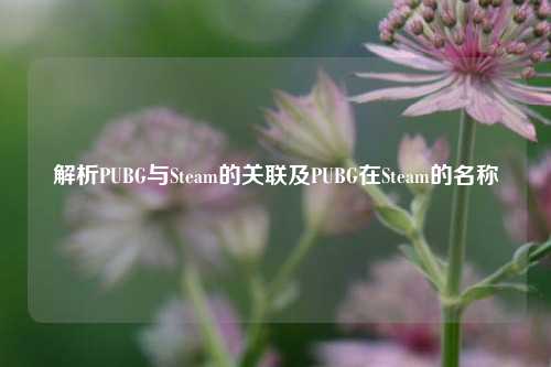 解析PUBG与Steam的关联及PUBG在Steam的名称